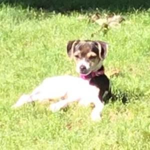 Meet your Posher, Debra